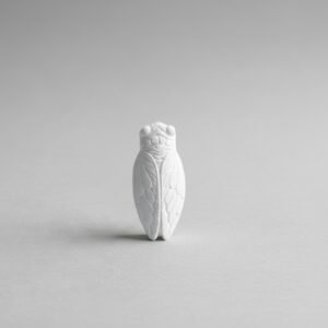 plâtre parfumer cigale