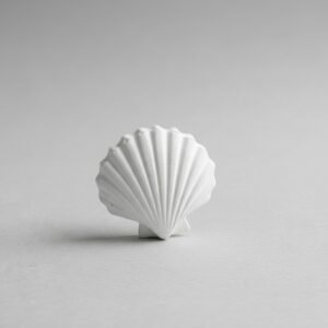 plâtre parfumer coquillage